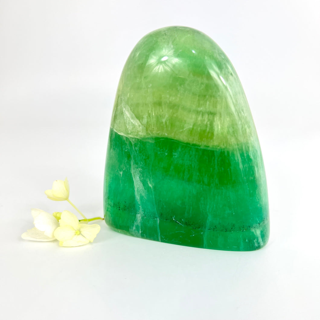 Crystals NZ: Large green fluorite crystal polished free form