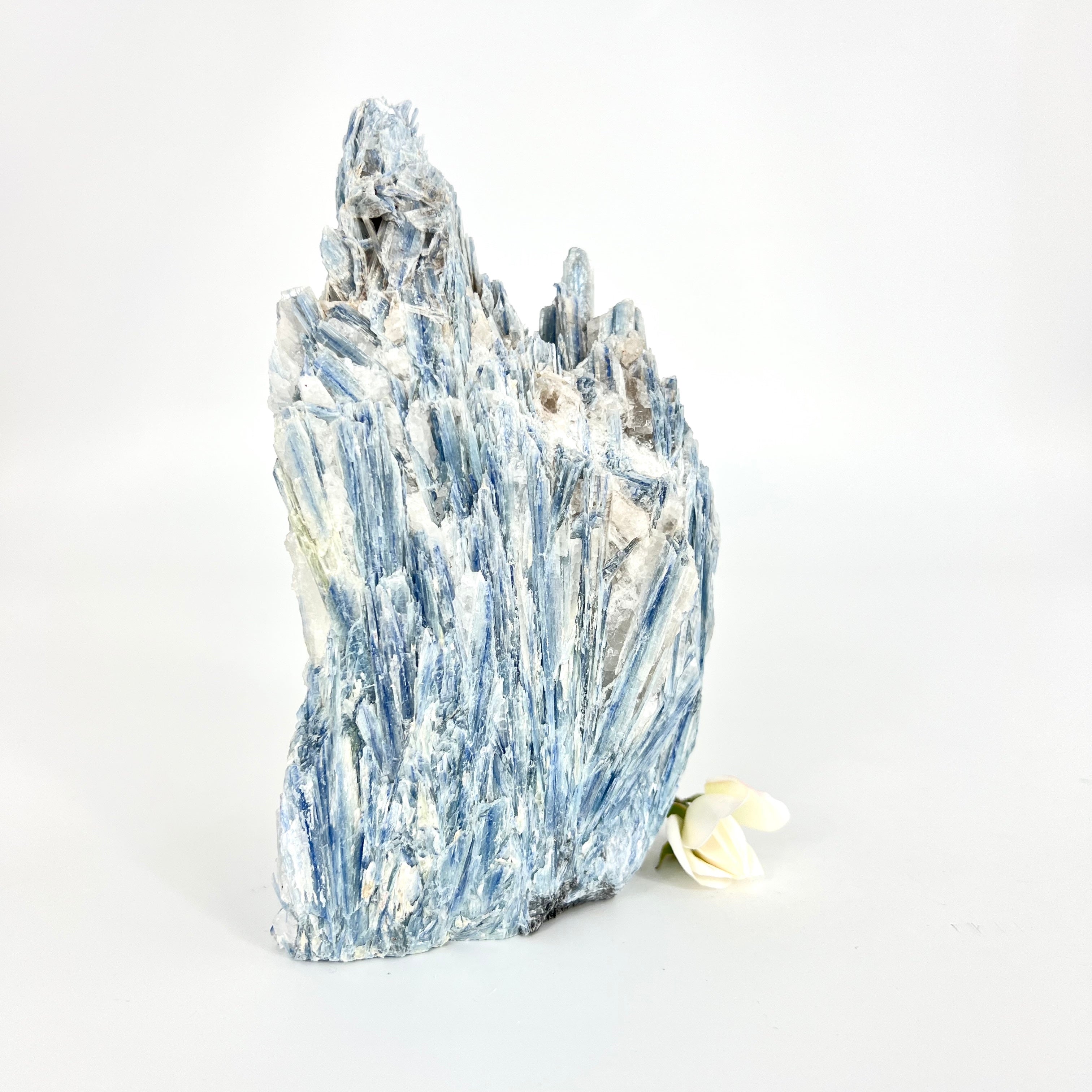 Crystals NZ: Large kyanite crystal cluster with cut base