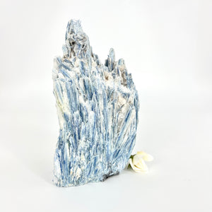 Crystals NZ: Large kyanite crystal cluster with cut base