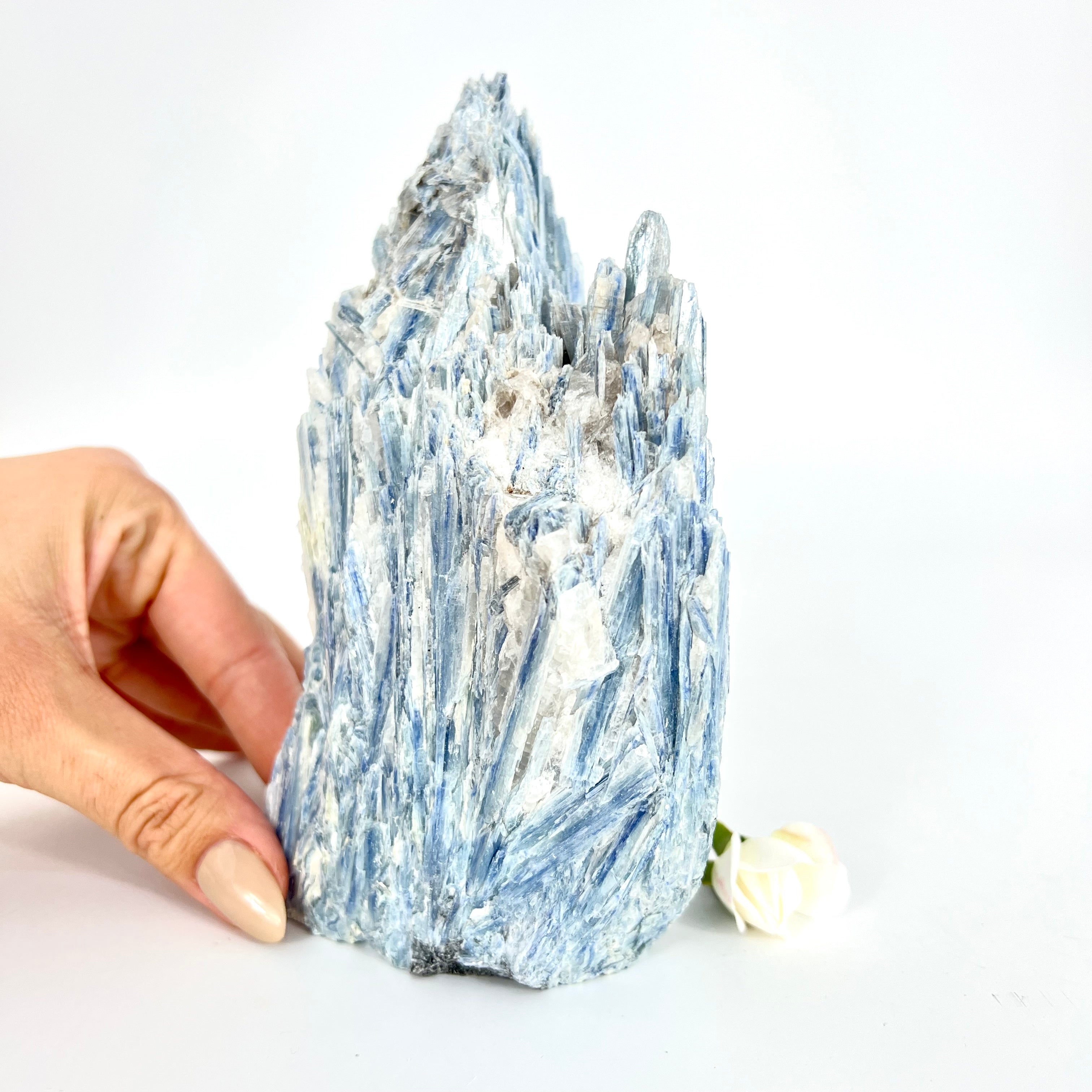 Crystals NZ: Large kyanite crystal cluster with cut base