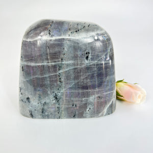 Crystals NZ: Purple flash labradorite crystal worry stone - very rare