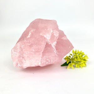 Large Crystals NZ: Large raw rose quartz crystal chunk 1.2kg