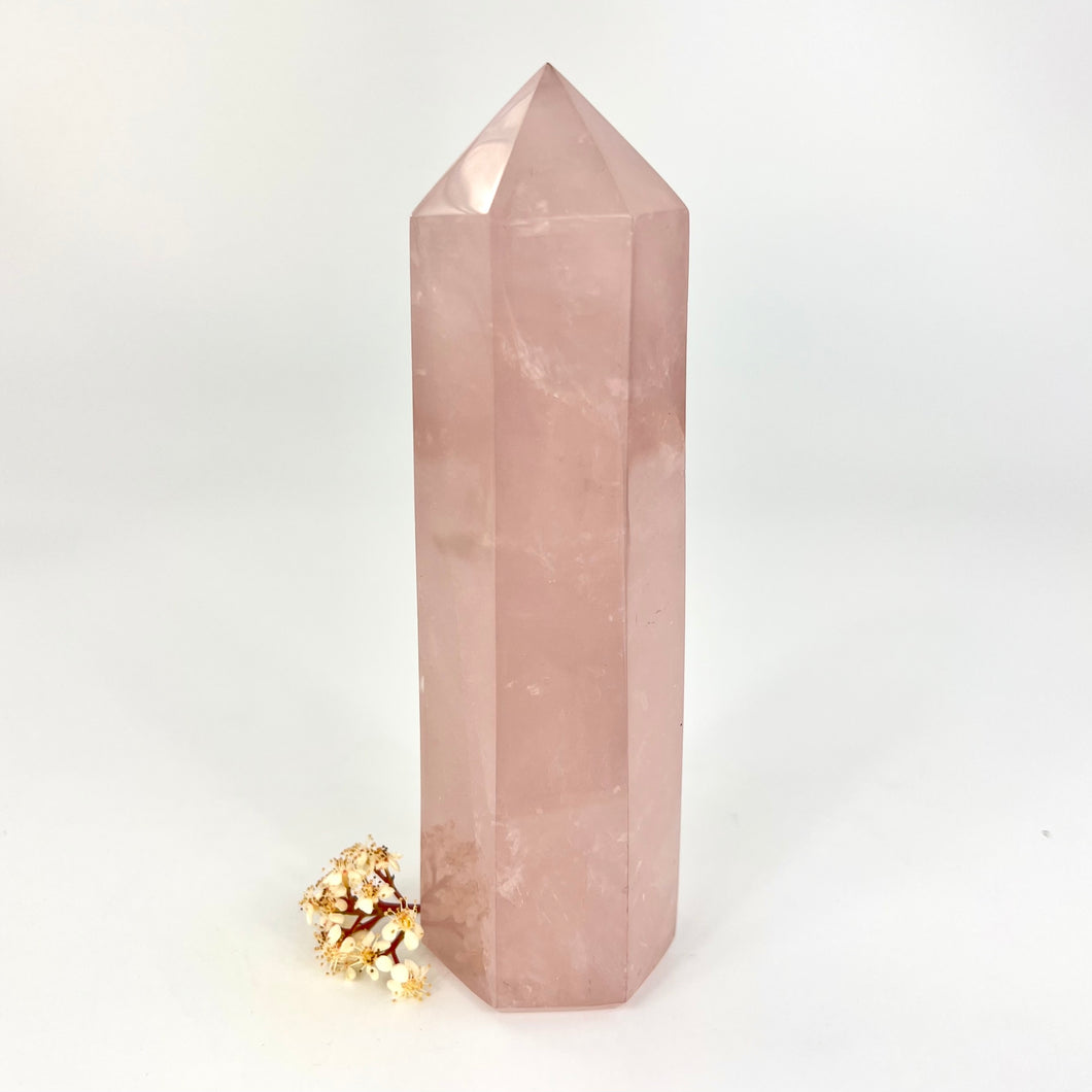 Crystals NZ: Rose quartz crystal generator