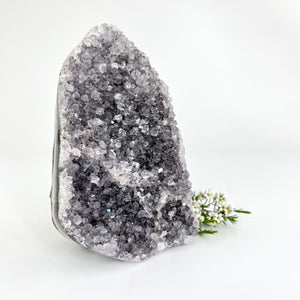 Crystals NZ: Lavender amethyst crystal cluster