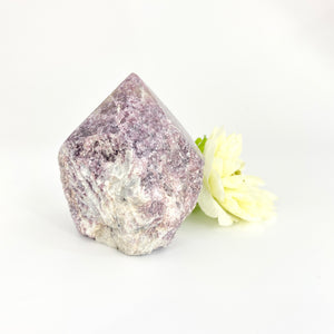 Crystals NZ: Lepidolite polished crystal point