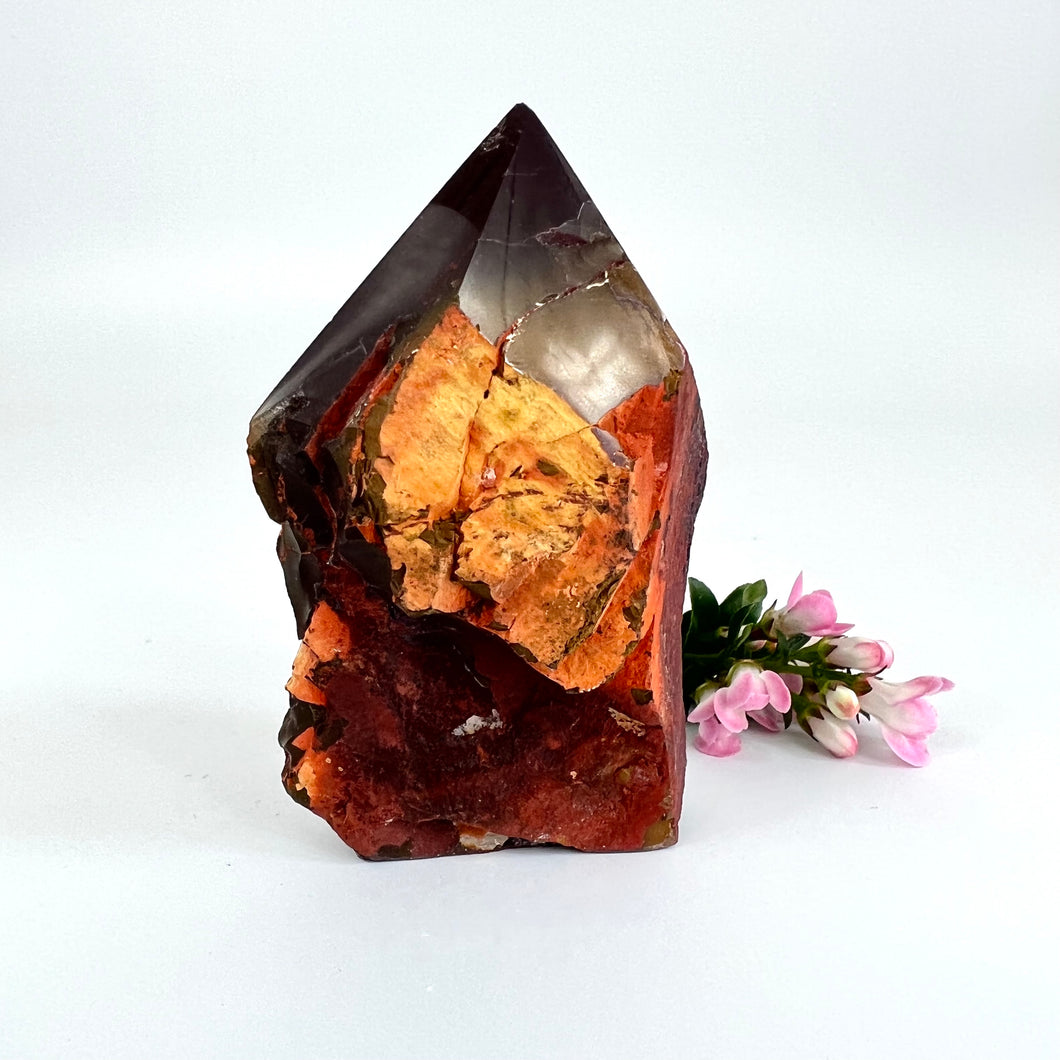 Crystals NZ: Mookaite crystal point