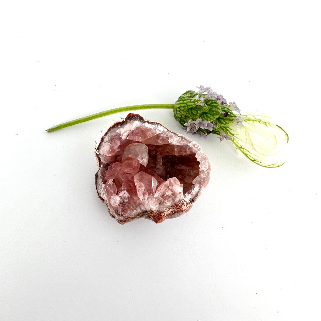 Crystals NZ: Pink amethyst crystal cluster