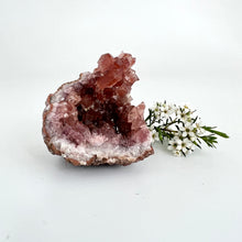 Load image into Gallery viewer, Crystals NZ: Pink amethyst crystal geode half

