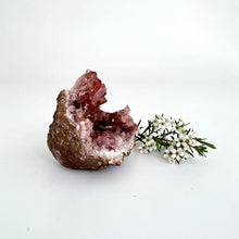 Load image into Gallery viewer, Crystals NZ: Pink amethyst crystal geode half
