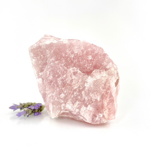 Crystals NZ: Raw rose quartz crystal chunk