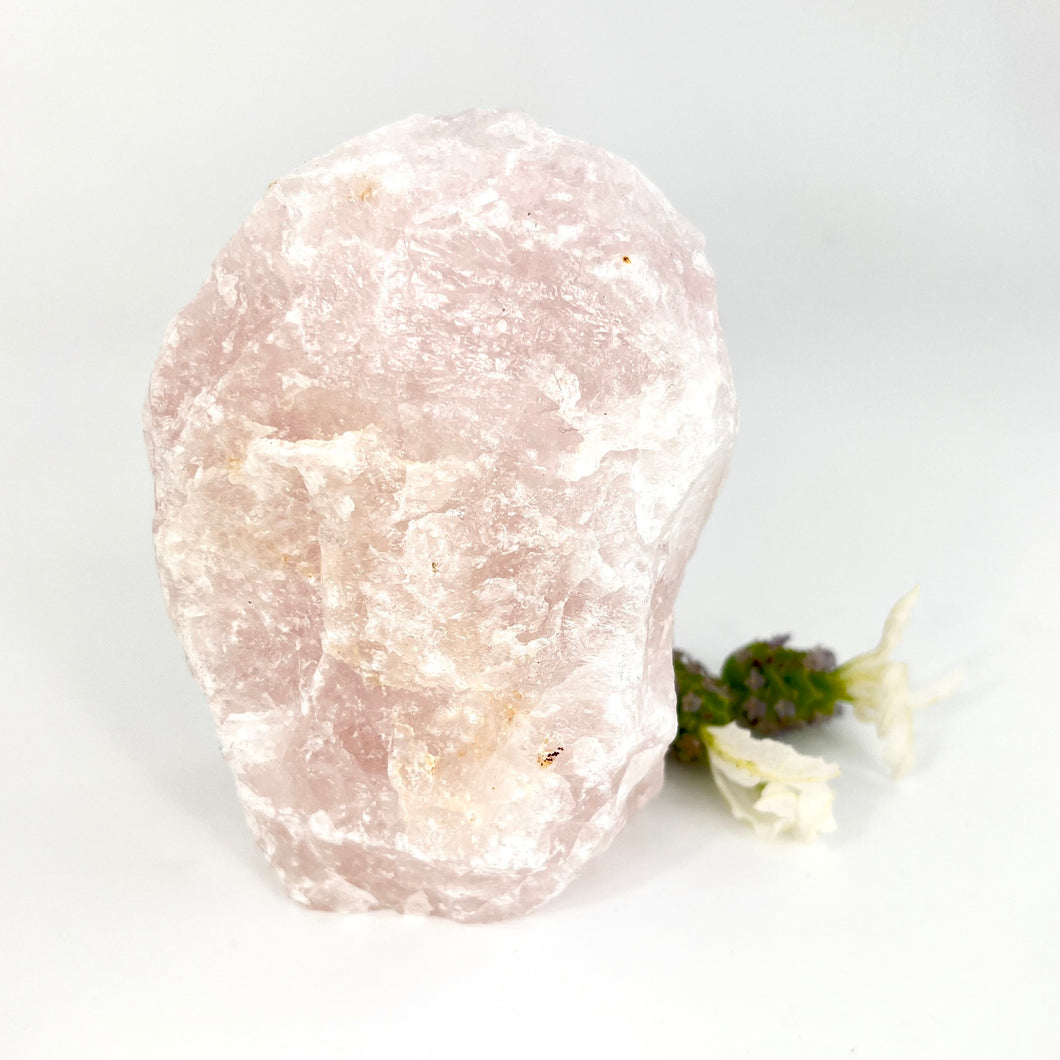 Crystals NZ: Raw rose quartz crystal chunk