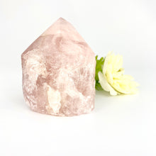 Load image into Gallery viewer, Crystals NZ: Rose quartz crystal point
