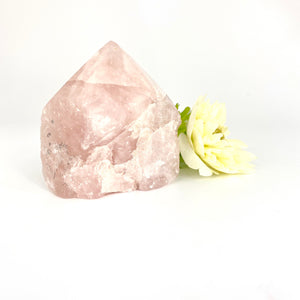 Crystals NZ: Rose quartz crystal point
