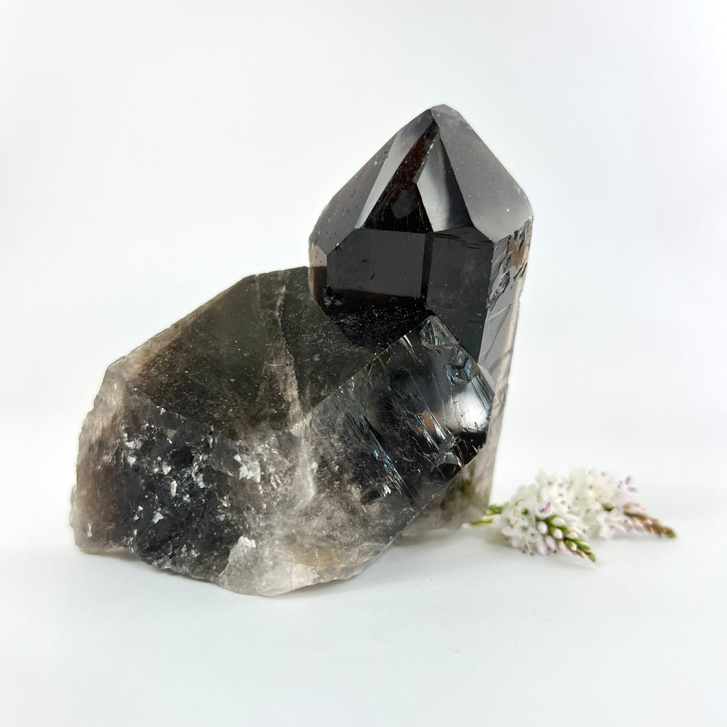 Crystals NZ: Smoky quartz crystal cluster