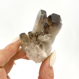 Crystals NZ: Smoky quartz crystal cluster