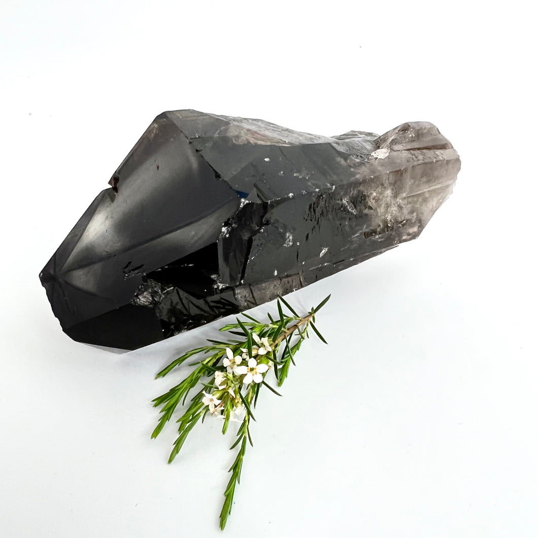 Crystals NZ: Smoky quartz crystal clustered point