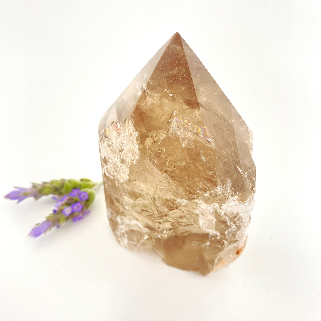 Crystals NZ: Smoky quartz crystal point