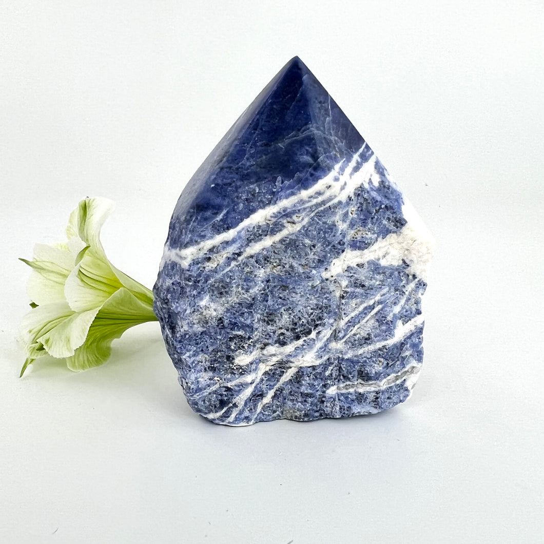 Crystals NZ: Sodalite crystal point