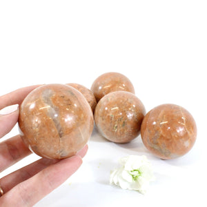 Peach moonstone crystal sphere | ASH&STONE Crystals Shop Auckland NZ