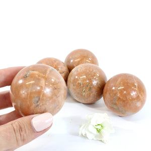 Peach moonstone crystal sphere | ASH&STONE Crystals Shop Auckland NZ