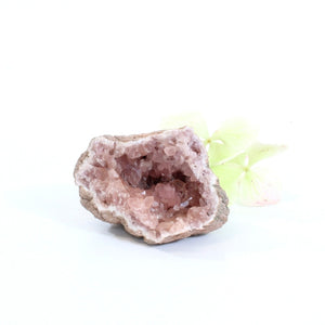 Pink amethyst crystal geode half | ASH&STONE Crystals Shop Auckland NZ