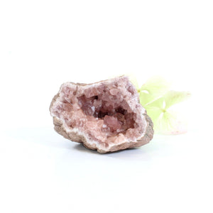 Pink amethyst crystal geode half | ASH&STONE Crystals Shop Auckland NZ