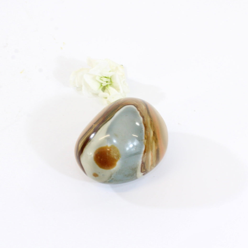 Polychrome jasper polished crystal | ASH&STONE Crystals Shop Auckland NZ