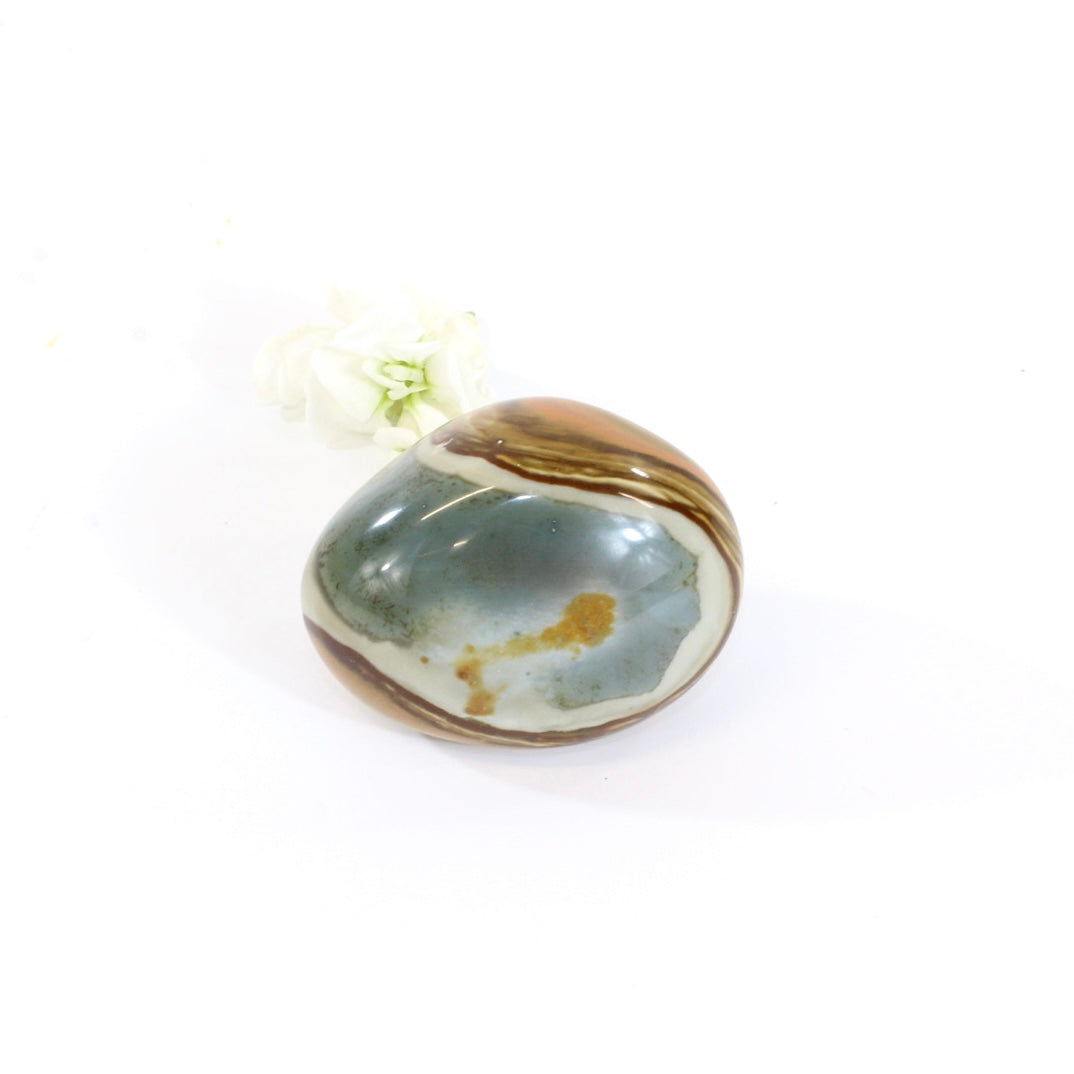 Polychrome jasper polished crystal | ASH&STONE Crystals Shop Auckland NZ