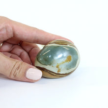Load image into Gallery viewer, Polychrome jasper polished crystal | ASH&amp;STONE Crystals Shop Auckland NZ
