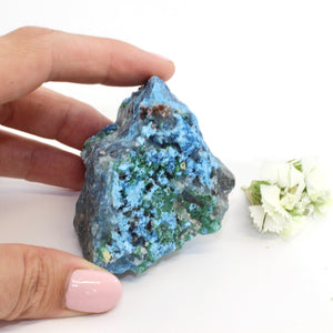 Quantum quattro crystal chunk with dioptase formations | ASH&STONE Crystals Shop 