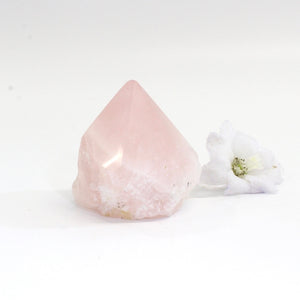 Rose quartz crystal point | ASH&STONE Crystals Shop Auckland NZ