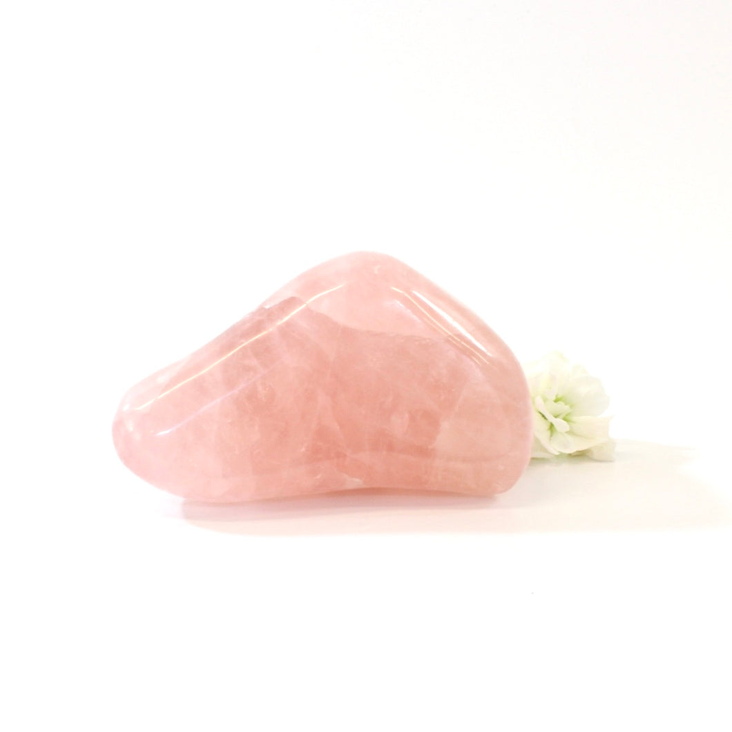 Rose quartz crystal polished free form | ASH&STONE Crystals Shop Auckland NZ