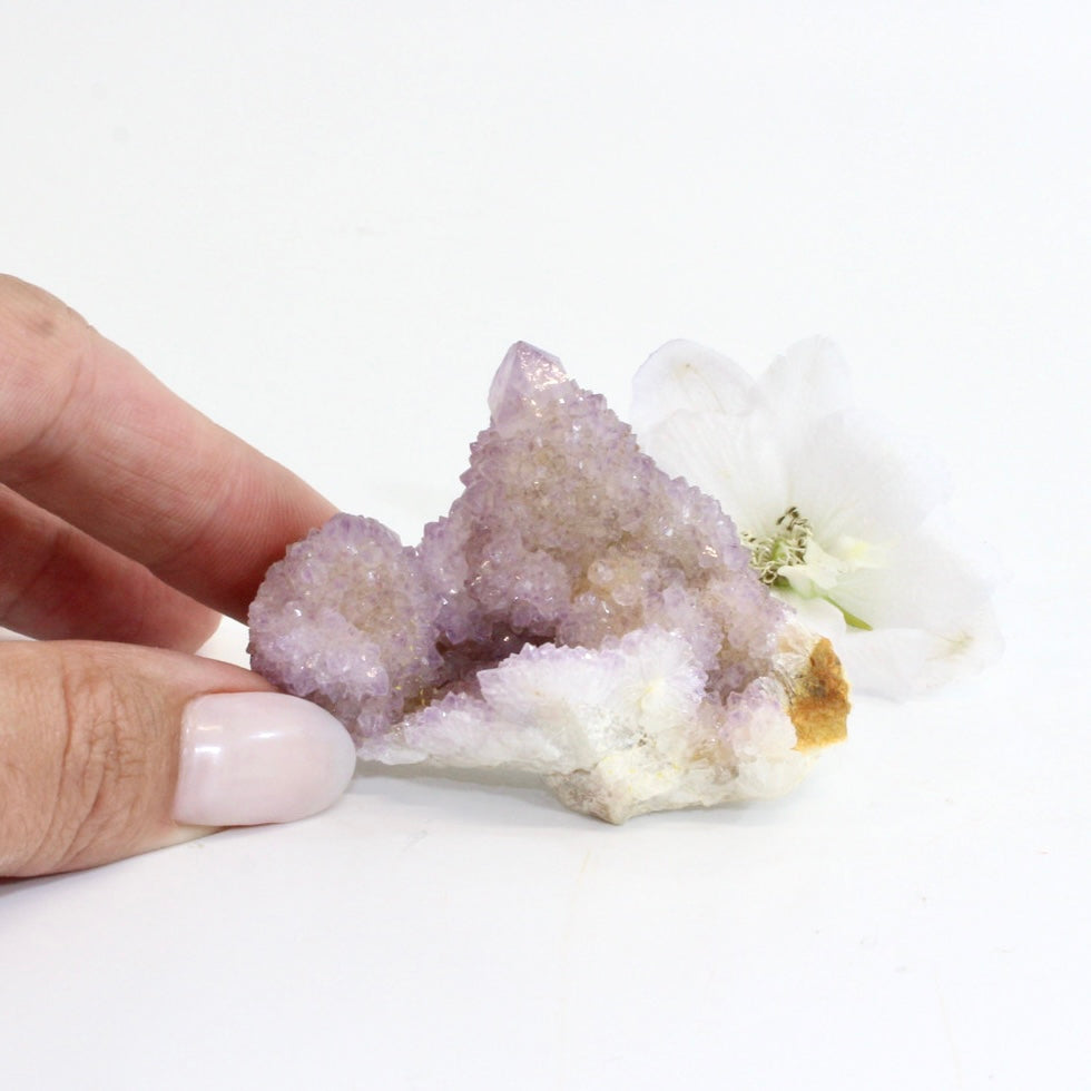 Spirit quartz crystal cluster - rare | ASH&STONE Crystals Shop Auckland NZ