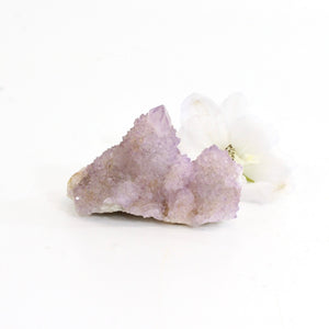 Spirit quartz crystal cluster - rare | ASH&STONE Crystals Shop Auckland NZ