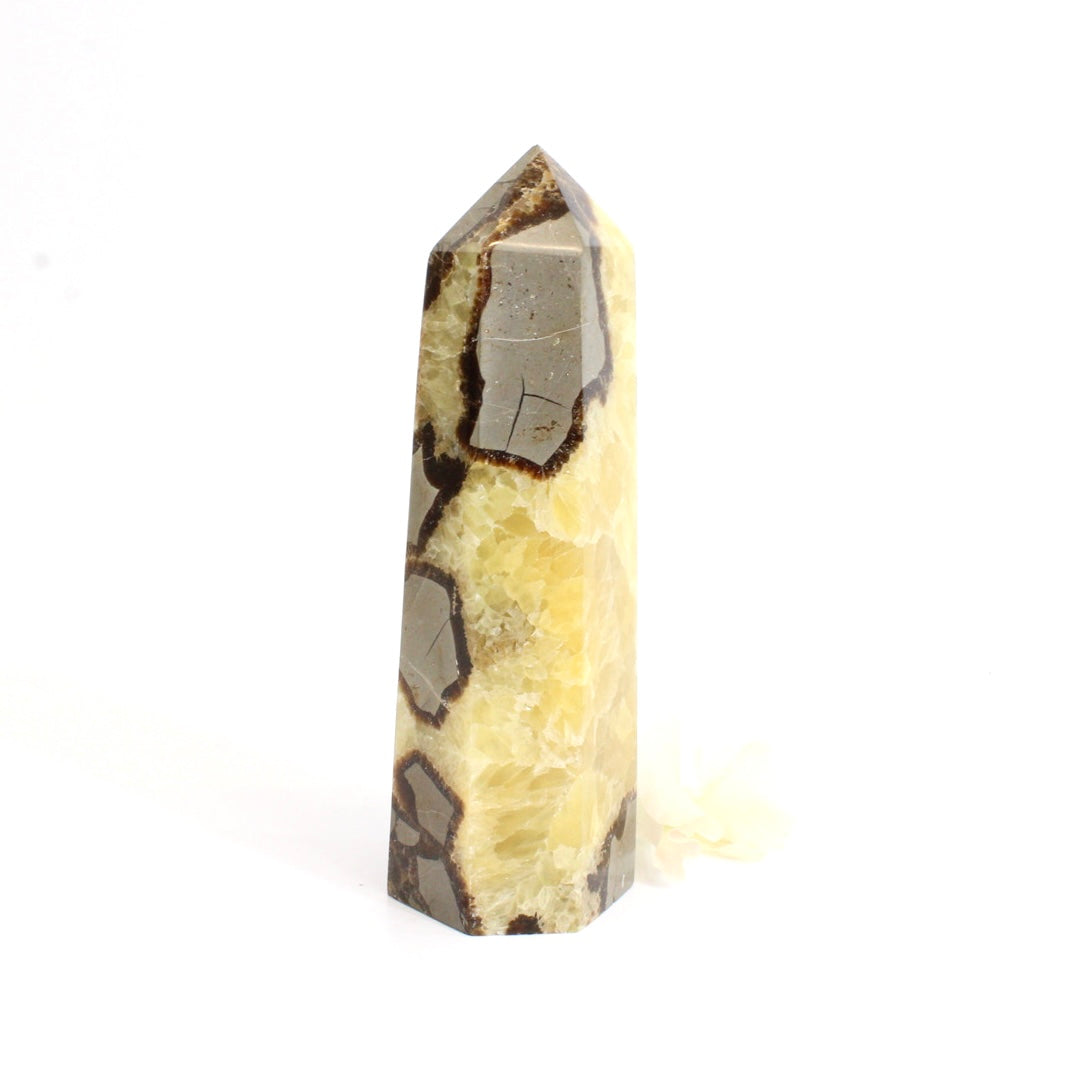 Yellow septarian crystal tower | ASH&STONE Crystals Shop