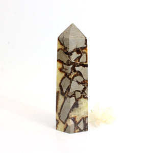 Yellow septarian crystal tower | ASH&STONE Crystals Shop