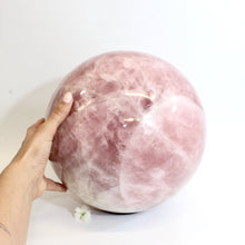 Load image into Gallery viewer, Extra large rose quartz crystal sphere 31kg | ASH&amp;STONE Collectors&#39; Crystals 
