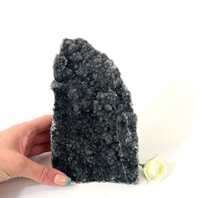 Load and play video in Gallery viewer, Large black amethyst crystal with cut base | ASH&amp;STONE Crystals NZ
