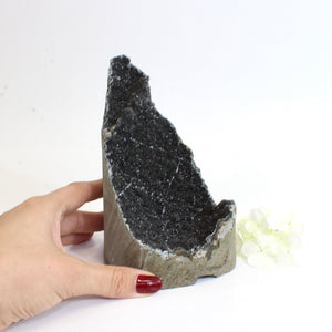 Large black amethyst crystal druzy with cut base | ASH&STONE Crystals Shop Auckland NZ