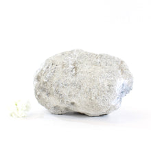 Load image into Gallery viewer, Large celestite crystal geode - 3.87kg | ASH&amp;STONE Crystals Shop Auckland NZ
