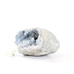 Large celestite crystal geode - 3.87kg | ASH&STONE Crystals Shop Auckland NZ