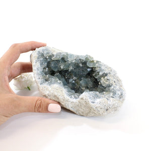 Large celestite crystal geode - 1.61kg | ASH&STONE Crystals Shop Auckland NZ