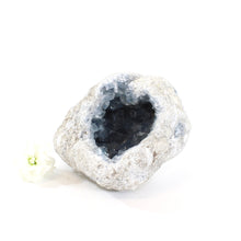 Load image into Gallery viewer, Large celestite crystal geode - 2.05kg | ASH&amp;STONE Crystals Shop Auckland NZ
