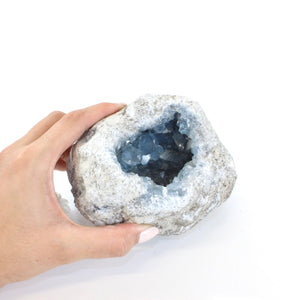 Large celestite crystal geode - 2.05kg | ASH&STONE Crystals Shop Auckland NZ