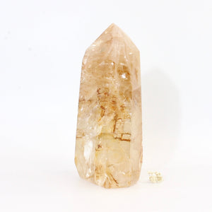 Large golden healer crystal in quartz point 3.62kg | ASH&STONE Crystals Shop Auckland NZ