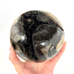 Large Crystals NZ: Large black Septarian crystal with geode 2.7kg