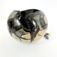 Load image into Gallery viewer, Large Crystals NZ: Large black Septarian crystal with geode 2.7kg
