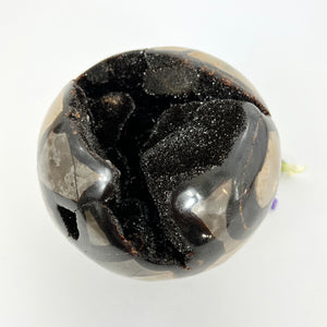 Large Crystals NZ: Large black Septarian crystal with geode 2.7kg