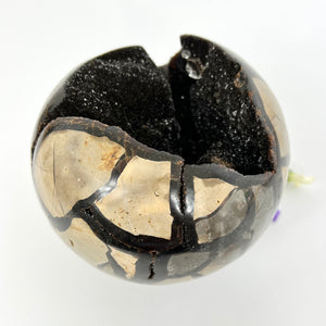 Large Crystals NZ: Large black Septarian crystal with geode 2.7kg