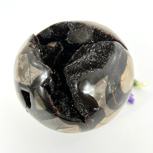 Large Crystals NZ: Large black Septarian crystal with geode 2.7kg